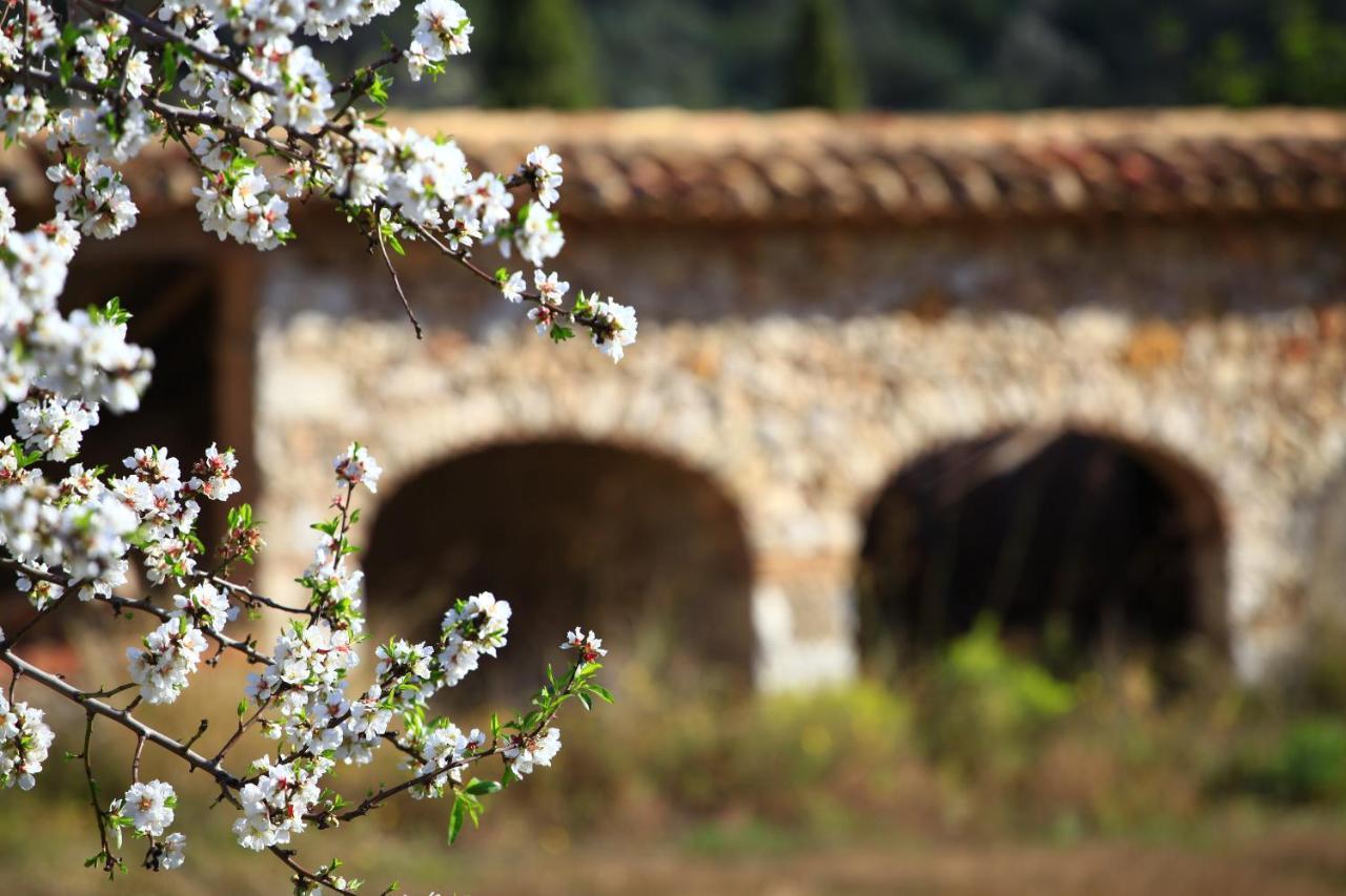 Benestar In Jalon Valley Alcalalí 外观 照片